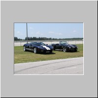 GT and AC Cobra.JPG